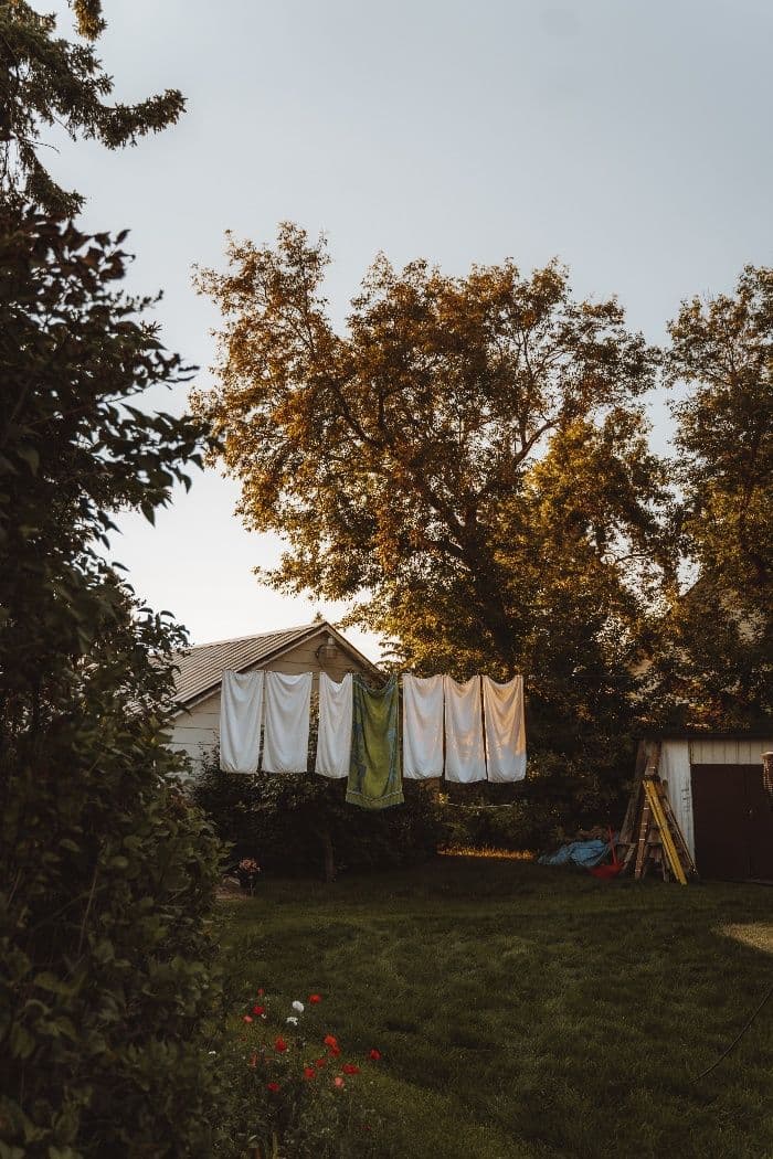 Fotografija uz članak „Energetski zagrljaj doma: mudre generacije, tradicija i feng shui”